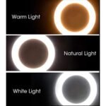 10 inch LED Ring Phil Light Ringlight Photography Beauty Light - Image 3