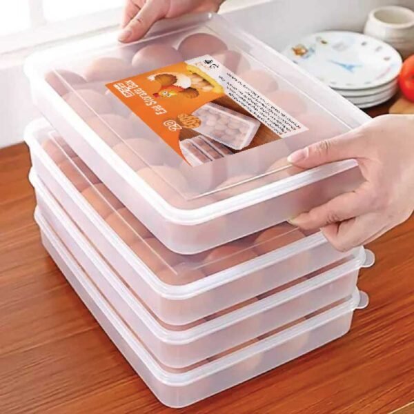 20 Grid Egg Storage Box– ডিম রাখার জন্য টেকসই ও নিরাপদ সংরক্ষণ বাক্স