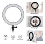 ১২ ইঞ্চি রিং লাইট ট্রাইপড স্ট্যান্ডসহ-12″ ring light with tripod stand & phone holder - Image 2